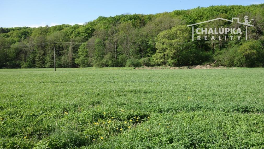 Pozemok 3348 m2 v Chocholnej-Velčiciach časť Pod Tlstou horou
