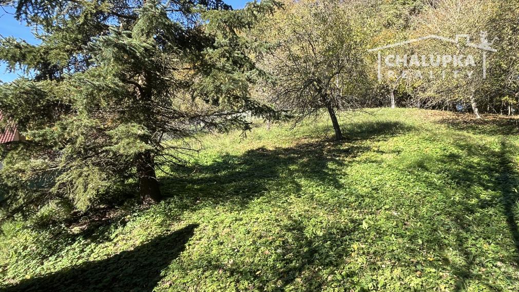 Veľký dom 7+1 s garážou a 1784 m2 pozemkom v Prašníku pri Piešťanoch