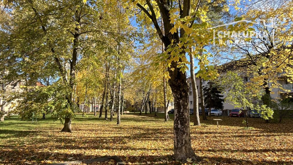 TOP!!! 2-izbový byt s lodžiou 71 m2 v Trenčíne - Dlhé Hony