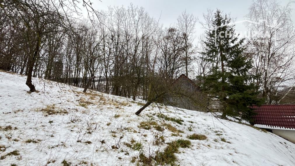 Veľký dom 7+1 s garážou a 1784 m2 pozemkom v Prašníku pri Piešťanoch