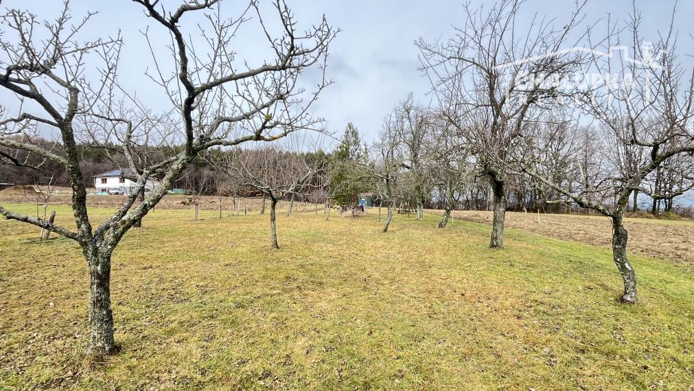 Rodinný dom 6+1 s garážou, 2-prístreškom a krásnym 2066 m2 pozemkom, Dubodiel