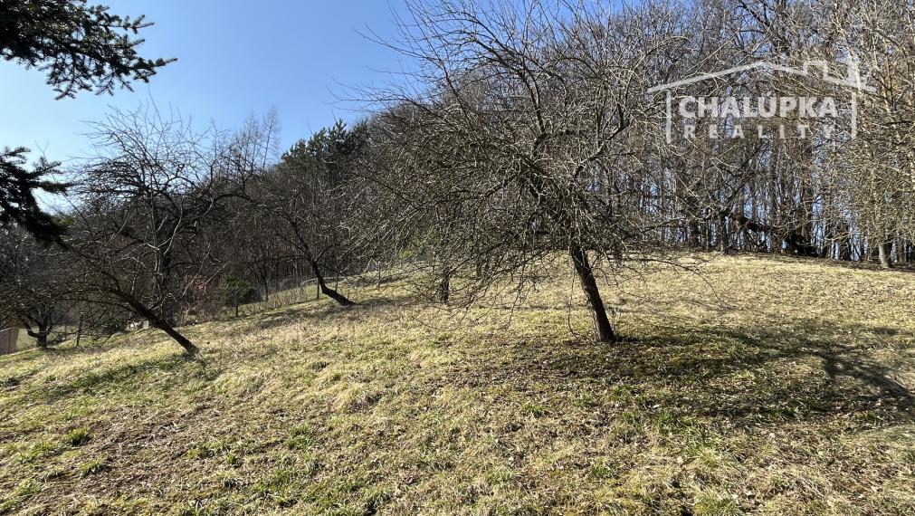 Veľký dom 7+1 s garážou a 1784 m2 pozemkom v Prašníku pri Piešťanoch