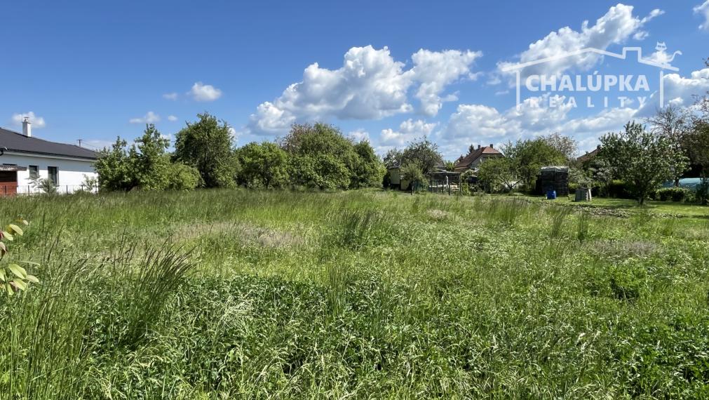 Veľký rodinný dom 5+1 s veľkým pozemkom 3667 m2, obec Svinná