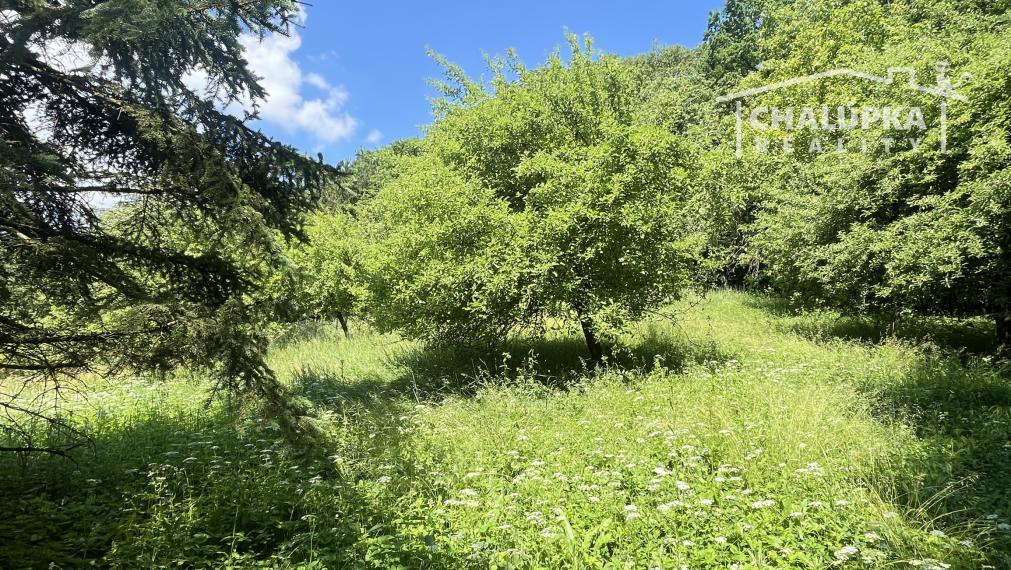RD 7+1 (220 m2) s garážou a 1784 m2 pozemkom v Prašníku pri Piešťanoch