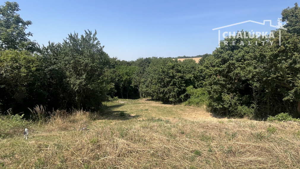 Pozemok 1264 m2 v Haluziciach pri Novom Meste nad Váhom