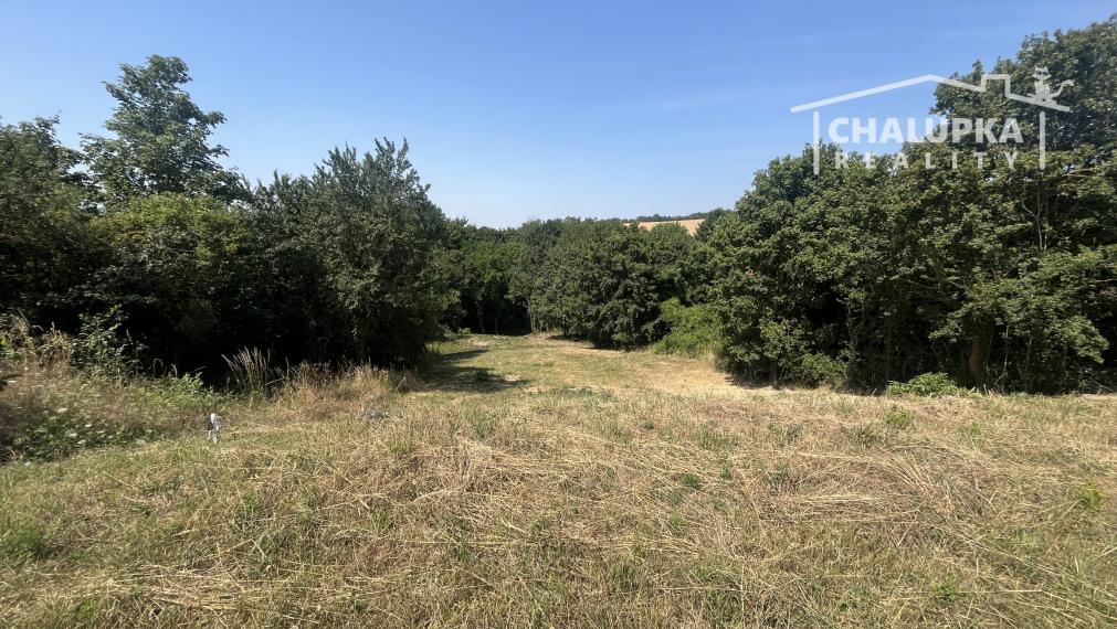 Pozemok na výstavbu RD, 1264 m2 v Haluziciach pri Novom Meste nad Váhom