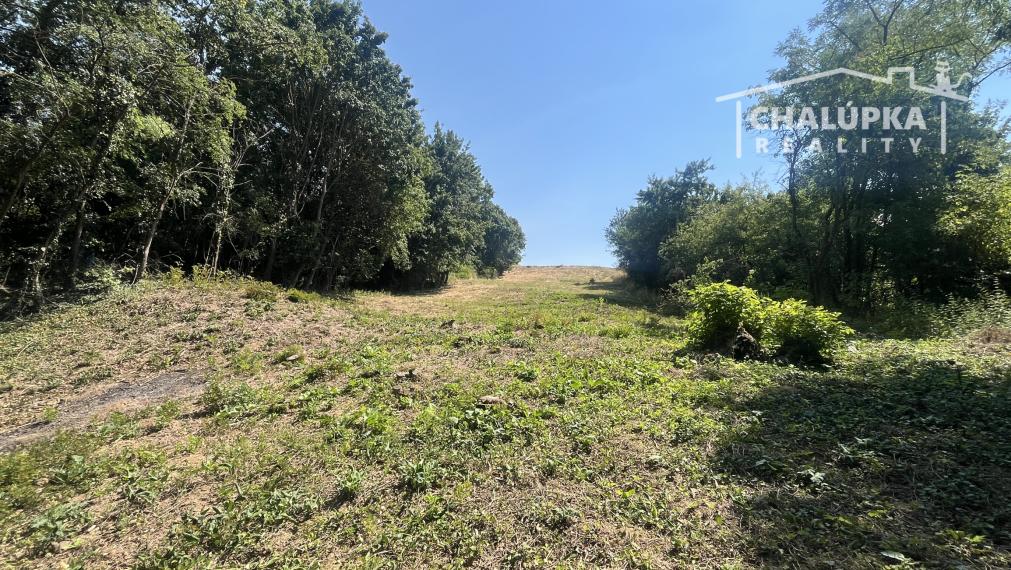 Pozemok na výstavbu RD, 1264 m2 v Haluziciach pri Novom Meste nad Váhom