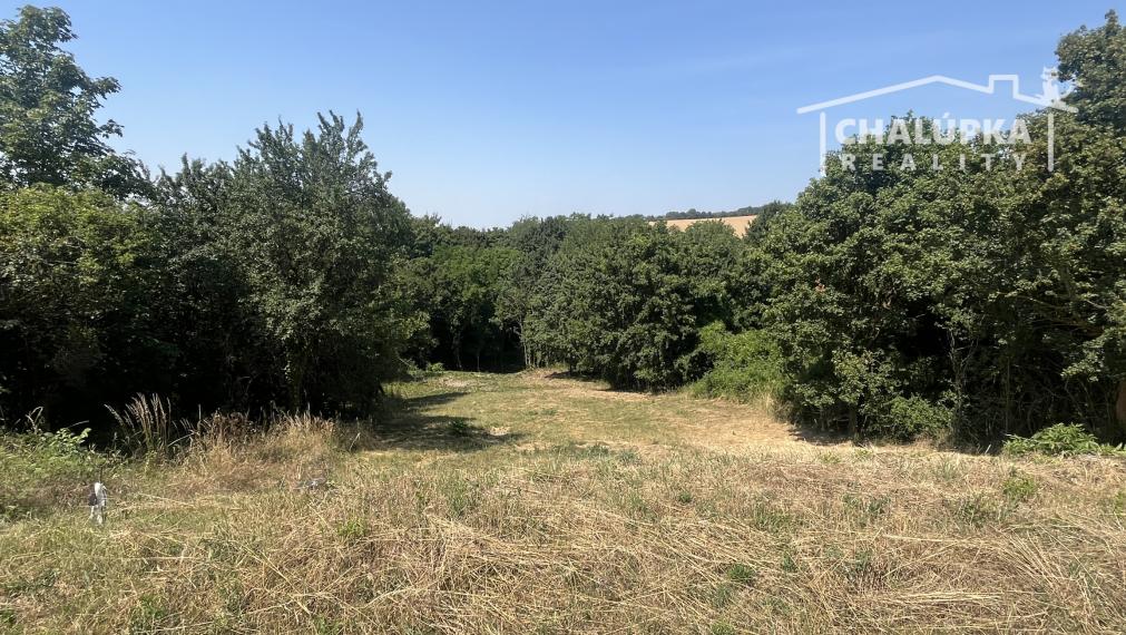 Pozemok na výstavbu RD, 1264 m2 v Haluziciach pri Novom Meste nad Váhom