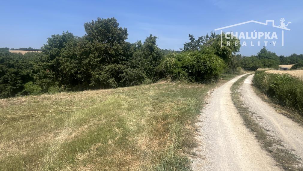 Pozemok na výstavbu RD, 1264 m2 v Haluziciach pri Novom Meste nad Váhom
