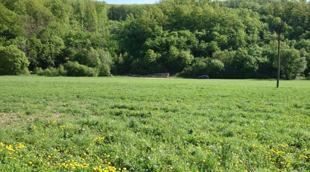 Pozemok 3348 m2 v Chocholnej-Velčiciach časť Pod Tlstou horou