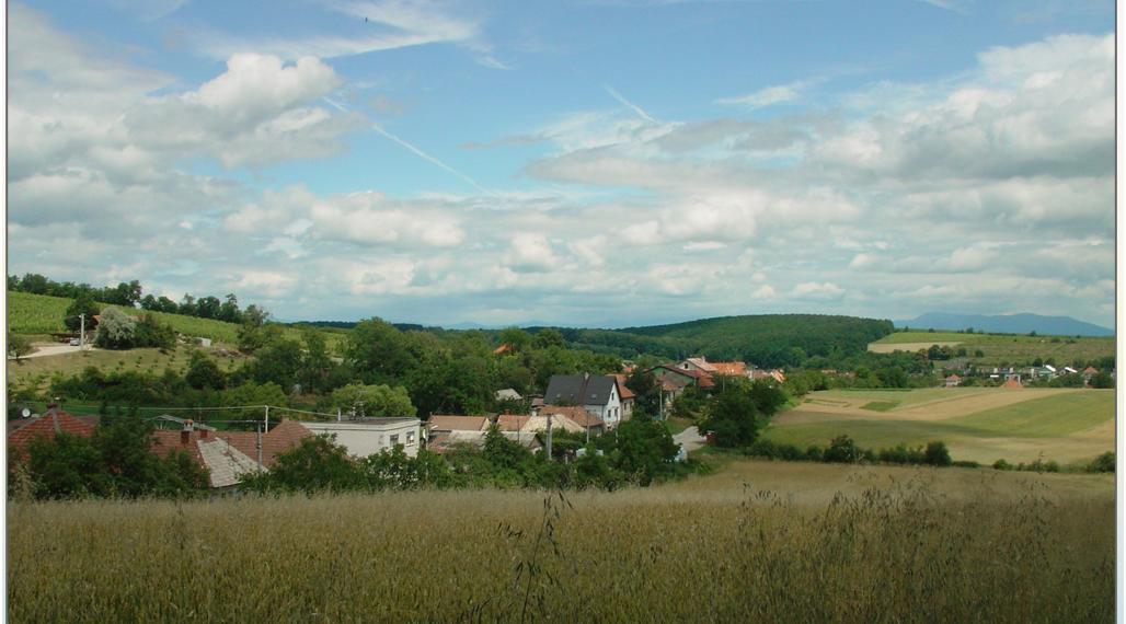 Pozemok pre rodinný dom v obci Tesáre (okr. Topoľčany)