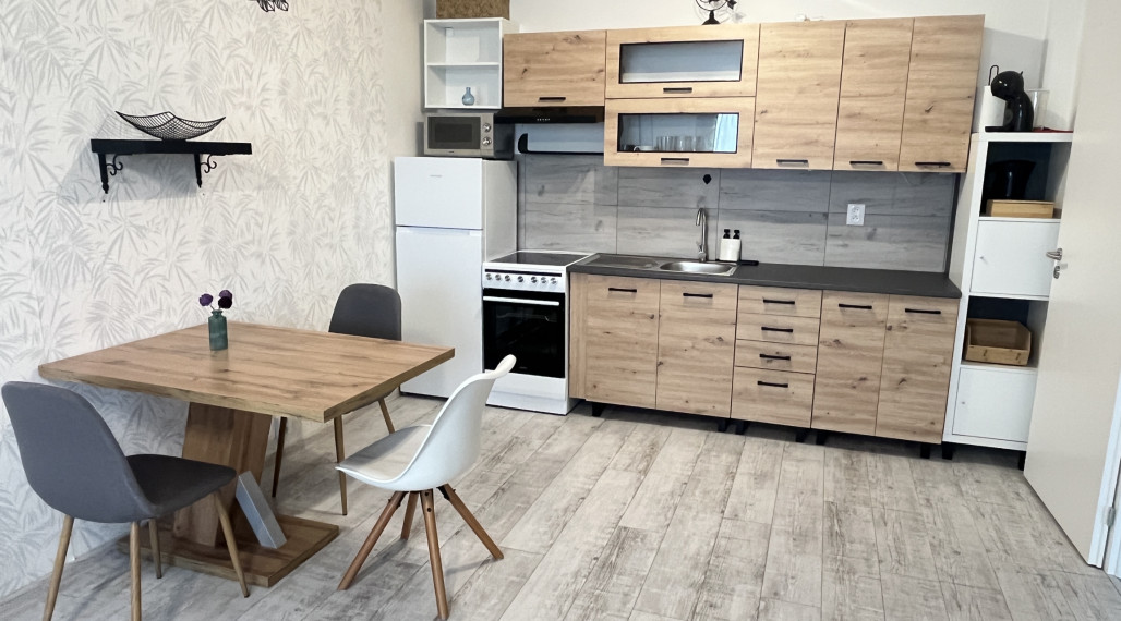 Zariadený 2-izbový byt po rekonštrukcii, Staničná ul. Trenčín