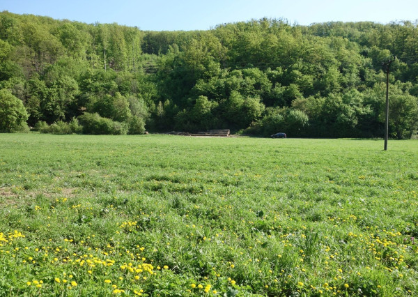 Pozemok 3348 m2 v Chocholnej-Velčiciach časť Pod Tlstou horou