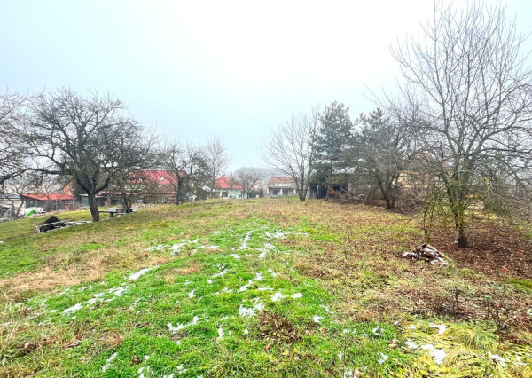 Rekreačný (investičný) pozemok 899 m2 v Soblahove