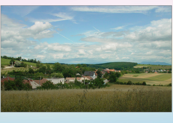 Pozemok pre rodinný dom v obci Tesáre (okr. Topoľčany)